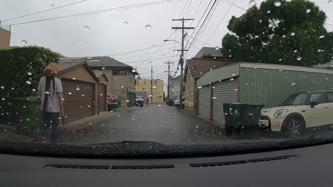 Rastaman Venice California