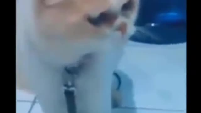 Funny video 😂😂