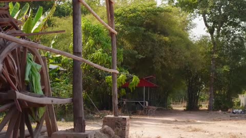 Terrifying Tarantula Eating Tradition in Skun, Cambodia