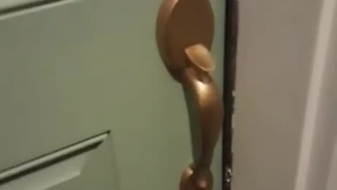 .Knock knock
