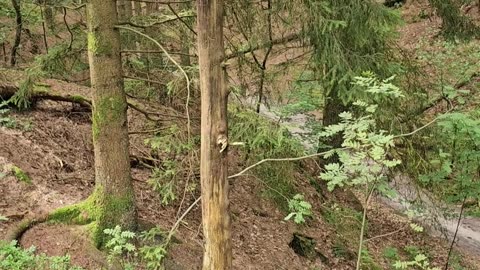 How the government paid 8 years for one river name #mockumentary #nature