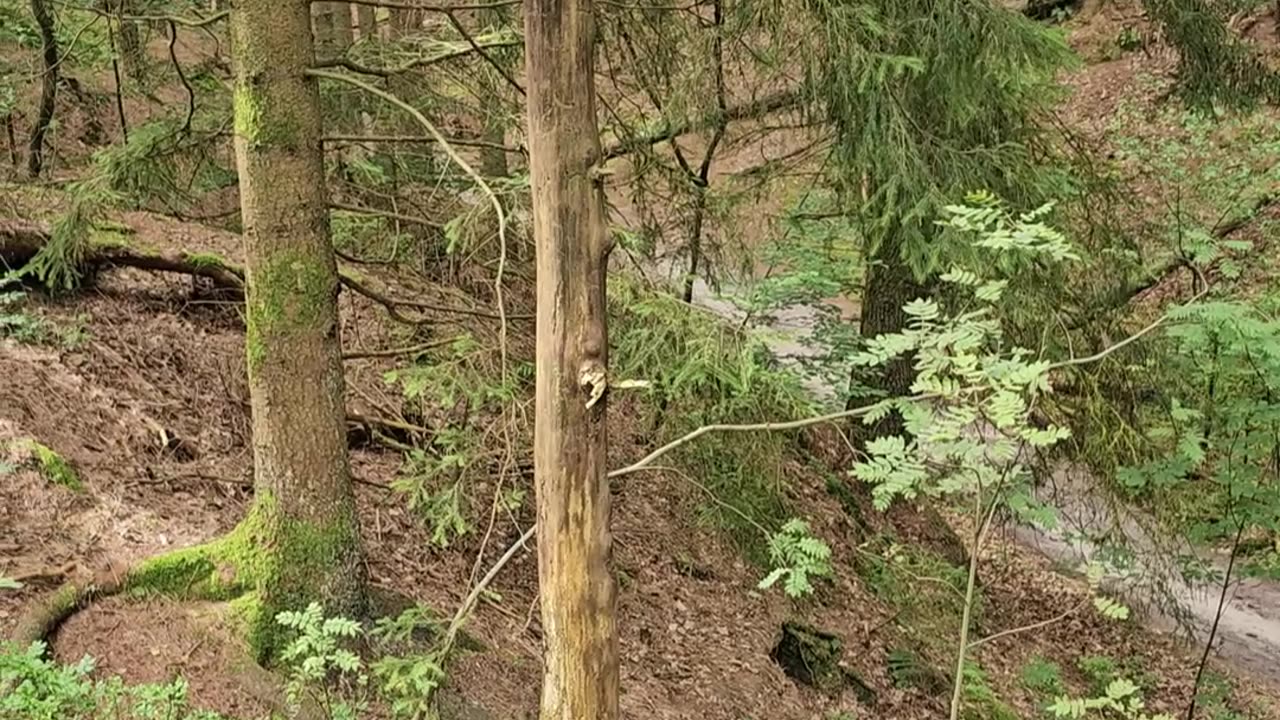 How the government paid 8 years for one river name #mockumentary #nature