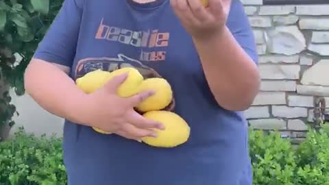 Look At This Lemon, Dude