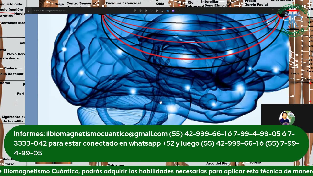 Biomagnetismo Sanación Cuántica_ Origen Emocional de las Enfermedades y su Tratamiento Magnético