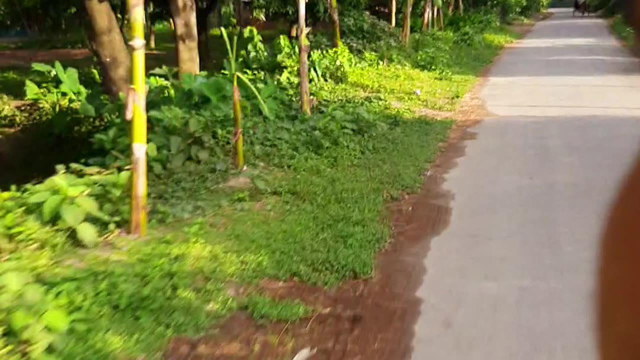 Village Road in bangladesh