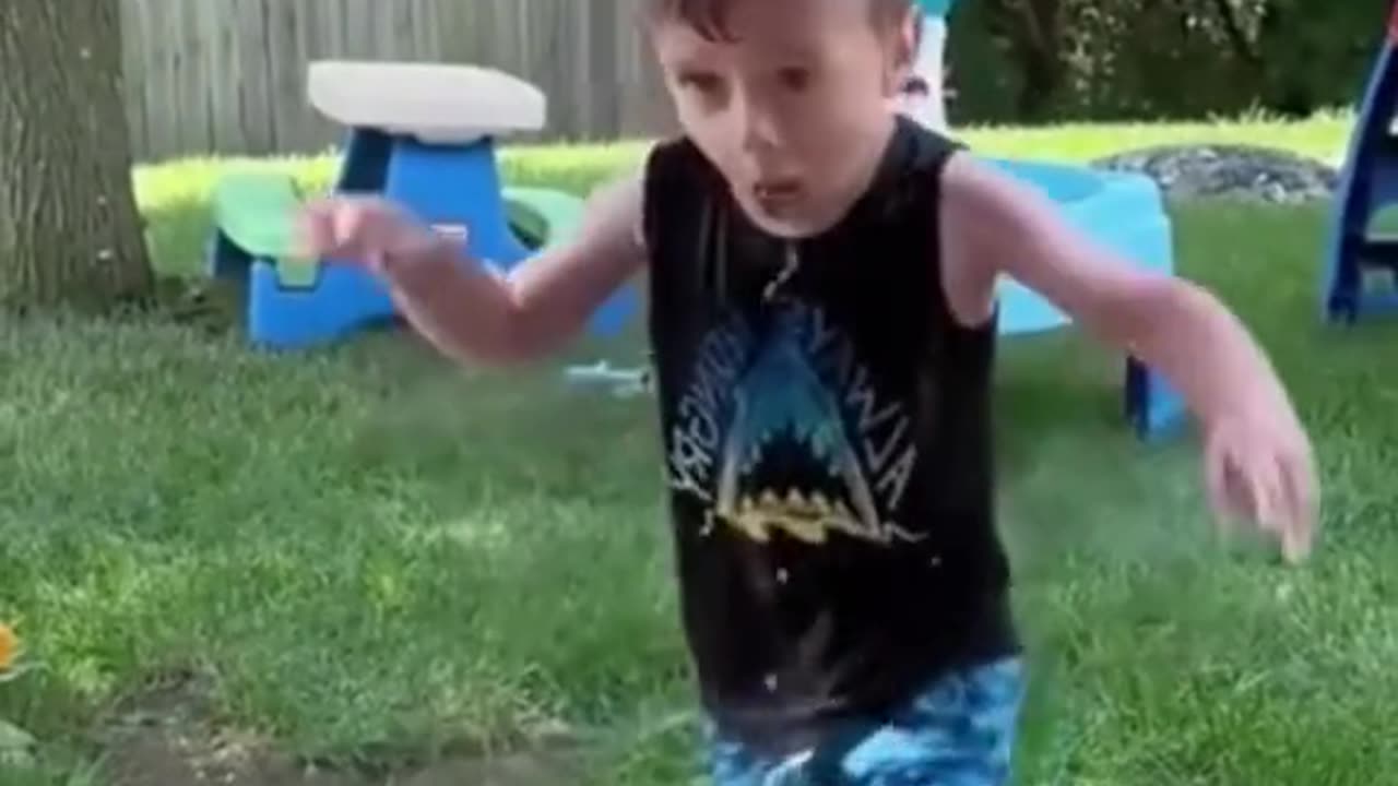 Funny videos