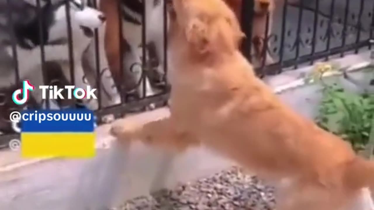 These days politicians