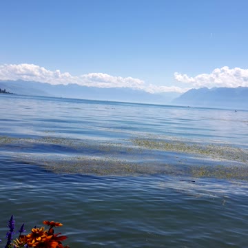 International lake in Switzerland with blue water