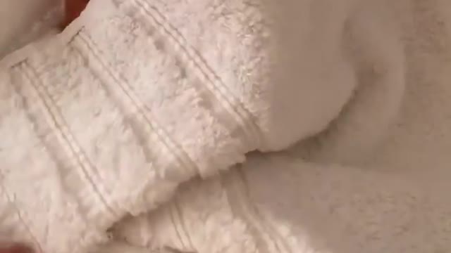 Cute baby video | Baby | Baby funny
