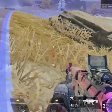 A ver si esto es du tu talla, un dia mas ganando en Call of Duty.