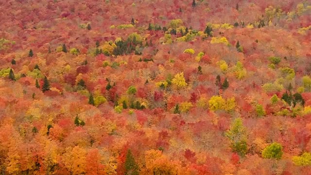 Autumn fairy tale, Stunning Nature in falls season