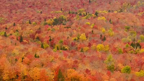 Autumn fairy tale, Stunning Nature in falls season