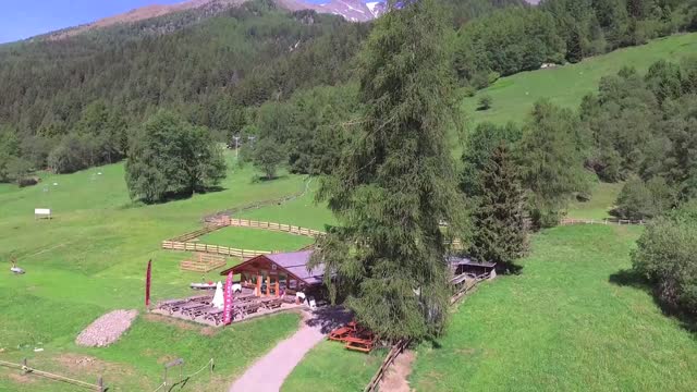 Passione cavallo arabo - allevamento in montagna