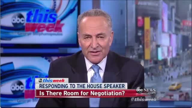 Schumer in 2013