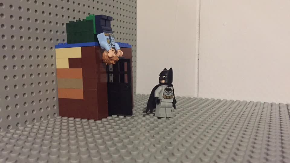 Batman VS. Poison Ivy