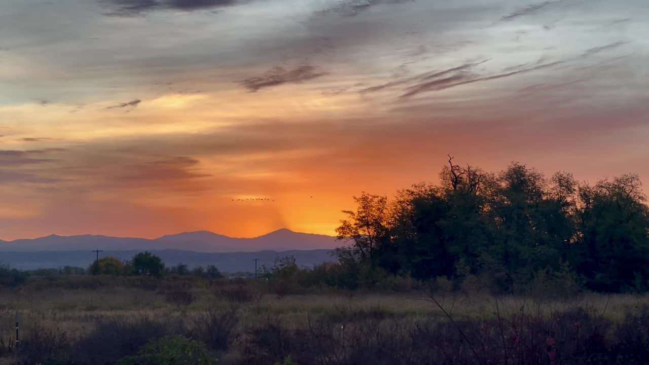 Fall Sunrise Birds Migrating