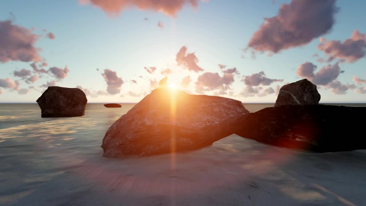 Seagull perched on a rock on a beach 3D at sunset