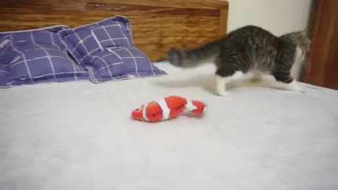 Cats vs Robotic Fish