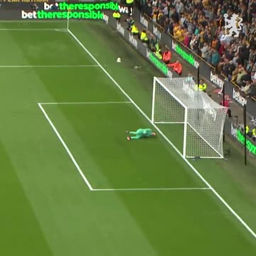 Why Cole Palmer's goal vs Wolves should NOT have stood due to little-known rule
