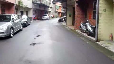 Dog Lost for 6 Days, CRIES when Found