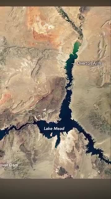 Lake Mead Water Level Update January 2024 #shorts #ytshort #youtubeshorts #viral #trending #lake