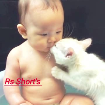 funny new fun funny jokes funny videos funny animal funny name funny memes funny movies