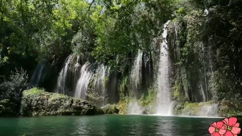 AMAZING FALLS VIEW