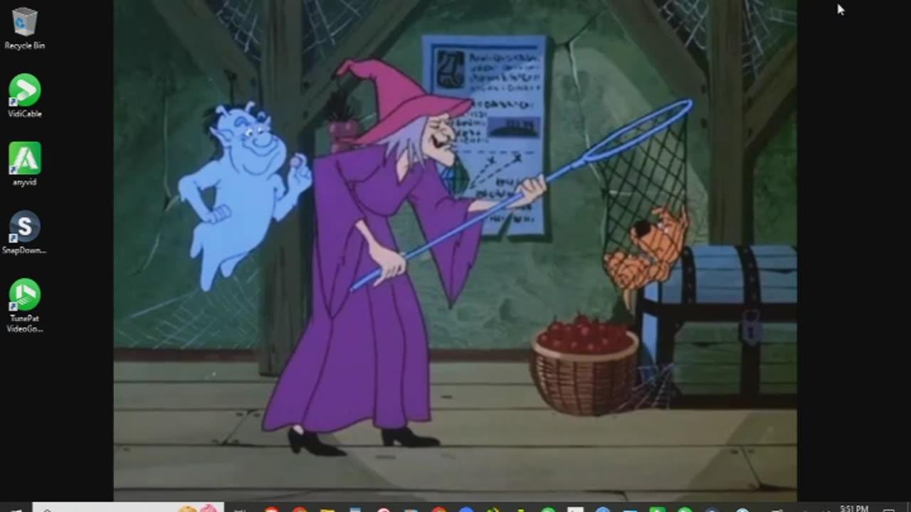 Scooby Doo and Scrappy Doo Episode 33 Swamp Witch Review