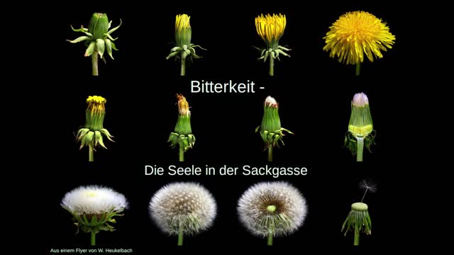 Bitterkeit - Die Seele in der Sackgasse