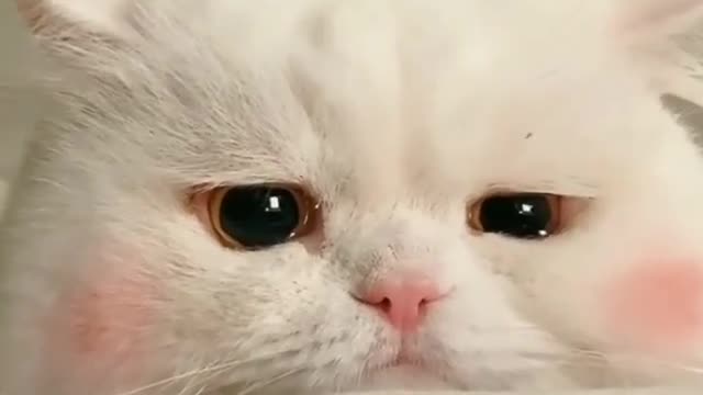This is melting my heart ðŸ˜ðŸ˜ðŸ˜