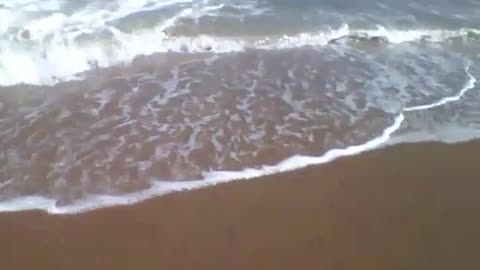 Filmando as ondas na beira da praia, o mar é sempre agitado nessa parte [Nature & Animals]