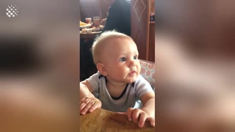 Babies Try Lemons For The First Time