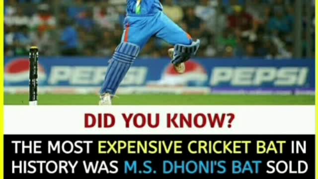 Fun facts