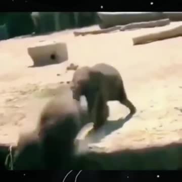 New Funny Compilations 2021