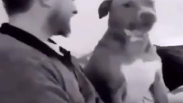 Wouldn’t believe if not caught on camera
