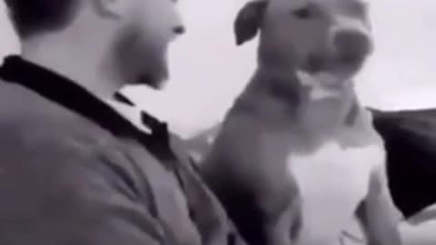 Wouldn’t believe if not caught on camera