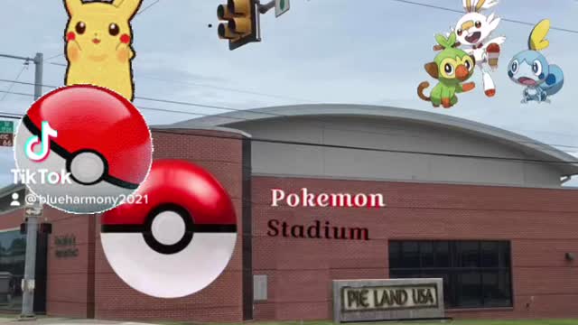 Pokémon Go fun