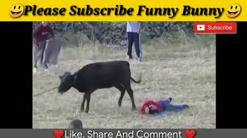 FUNNY Videos - Best of Compilation FAILS