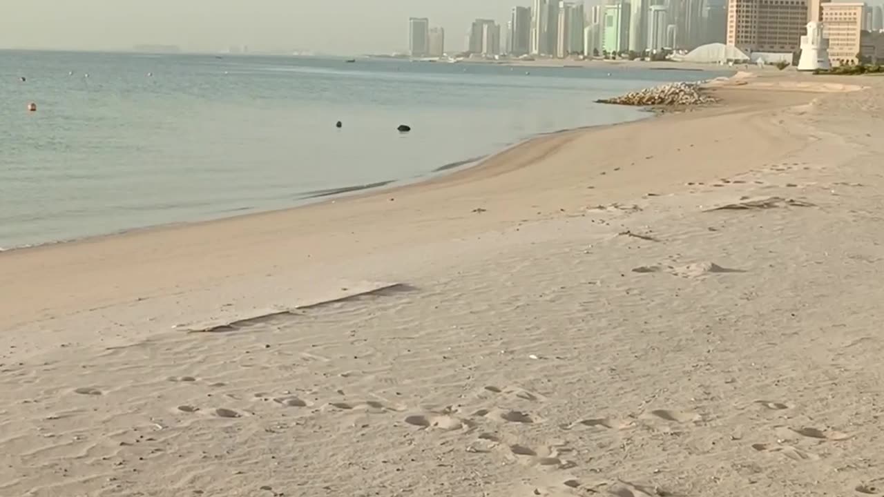 Qatar DragonBoat Team( PDRT Fireblade)