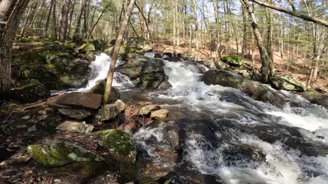 Cascades