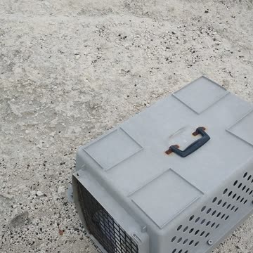 Freedom Heron goes home