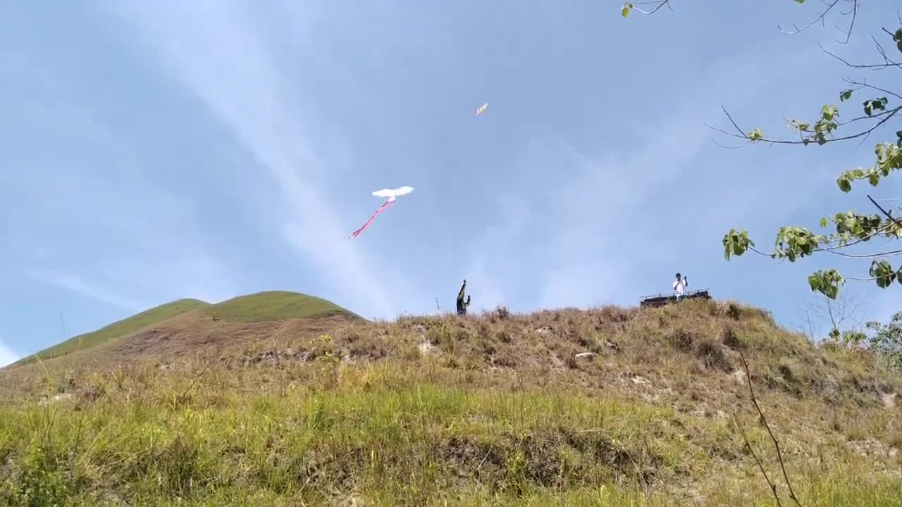 Flying kites/Dog climbing up the hill