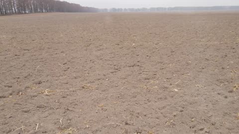 UK Government Shocking Plan to Pay Farmers NOT to Grow Food - $2,500 Per Acre