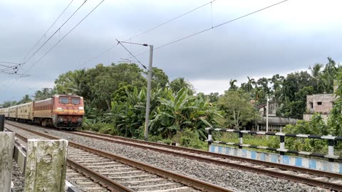 Funny horse Headed Trains : Funny horse express train Aggression Skipping Out Railgate|Speed 160Kmph