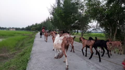 Indian Village and Nature || A truly Love from Bengal ||