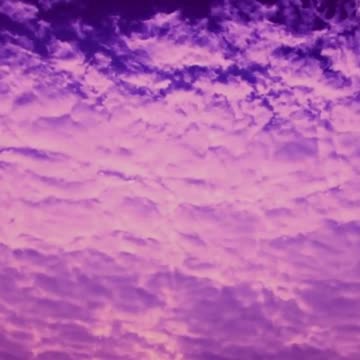 Guided Meditation for Acceptance and Embracing Change 🔄 #meditation #acceptance #shorts