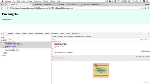 33 - The Box Model of Website Styling
