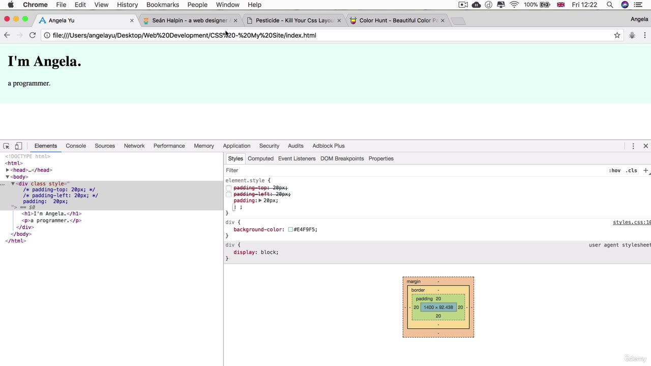 33 - The Box Model of Website Styling