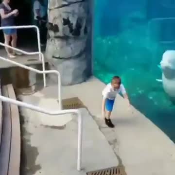 Amazing funny dolphin makes kid happy ❤️❤️❤️