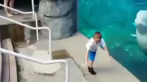 Amazing funny dolphin makes kid happy ❤️❤️❤️